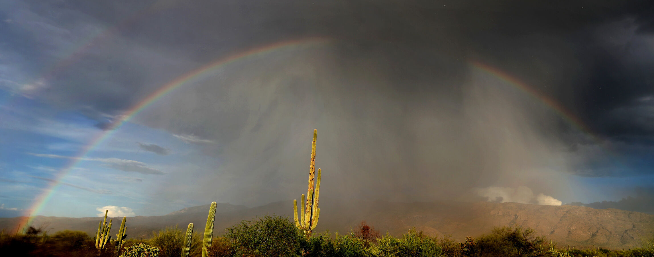 Monsoon